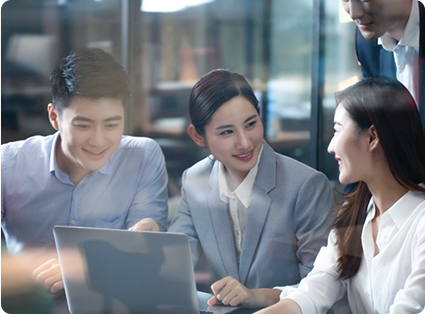 Enterprise Consulting Service