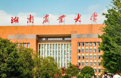 中南大学